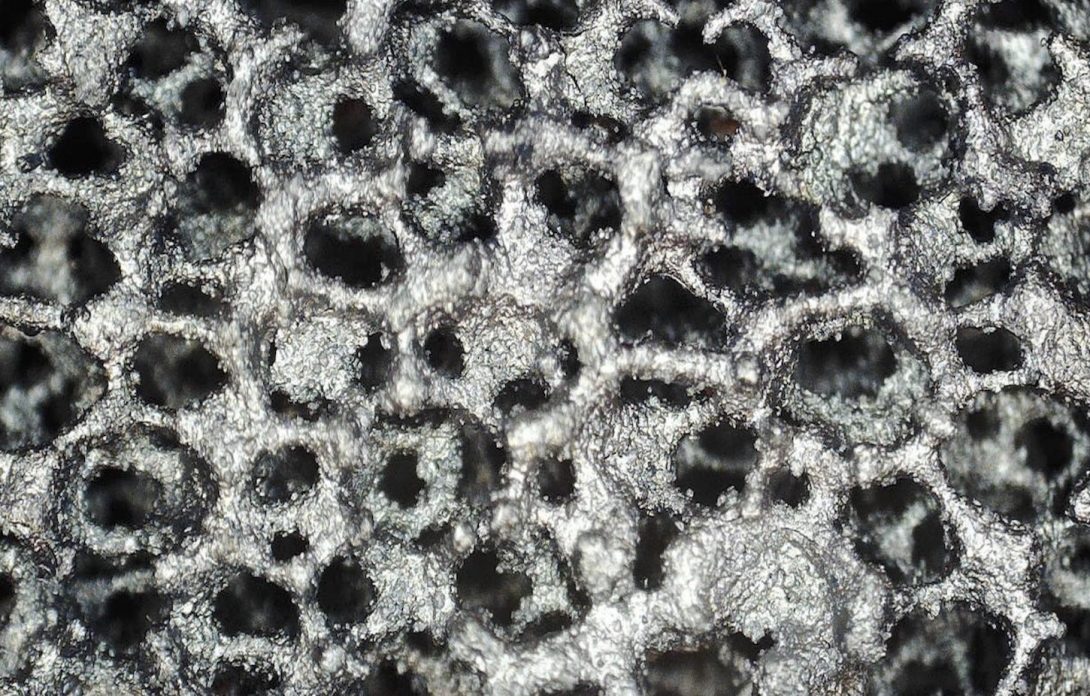 Magneli Phase Foam (image courtesy of Willhelm T.M. Chaplin)